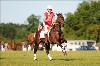 UKPA NC SAT_2185